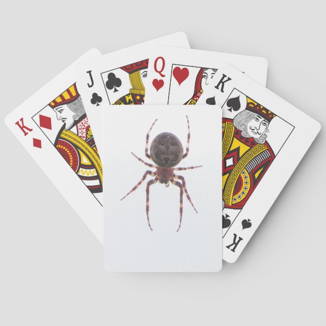 Spider Cards (Back)