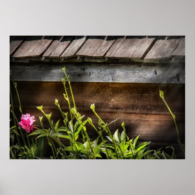 Spider - Charlottes Web Poster (Front)