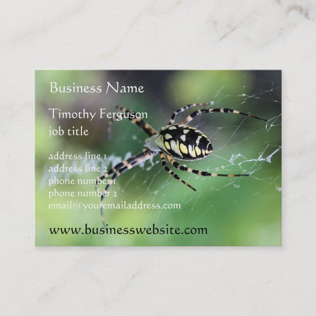 Spider Chubby Business Cards (Front)