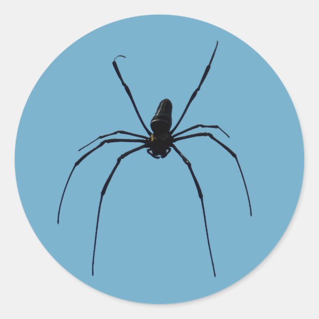 Spider Classic Round Sticker, Glossy Classic Round Sticker (Front)