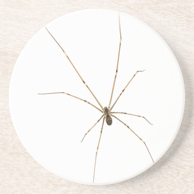 Spider Coaster (Front)