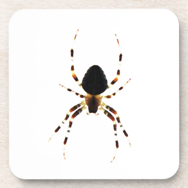 Spider coastercnm beverage coaster (Front)