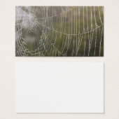 Spider Cobweb (Front & Back)