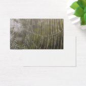 Spider Cobweb (Desk)