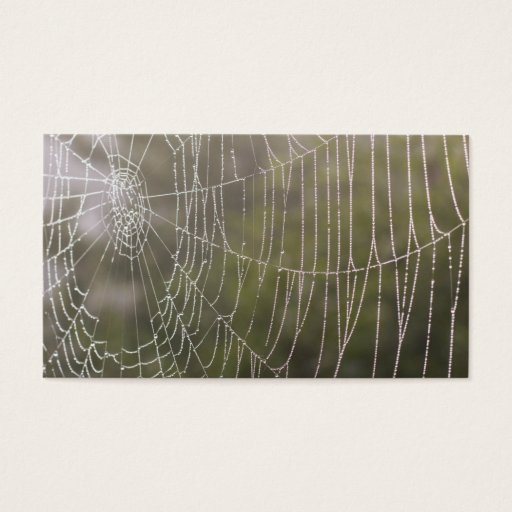 Customizable Spider Cobweb Business Card Template