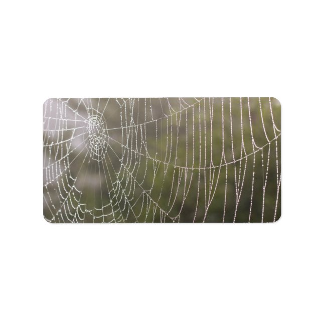 Spider Cobweb Label (Front)