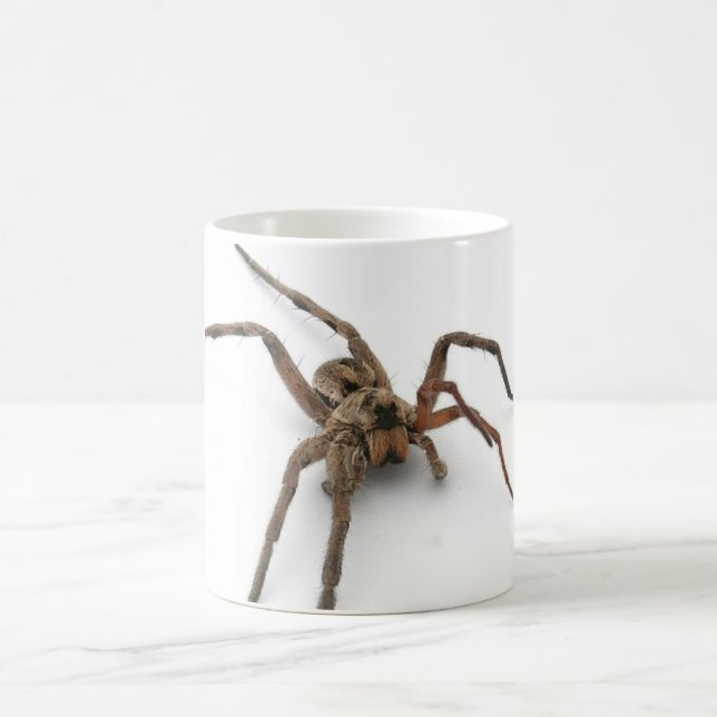 spider coffee mug (Center)