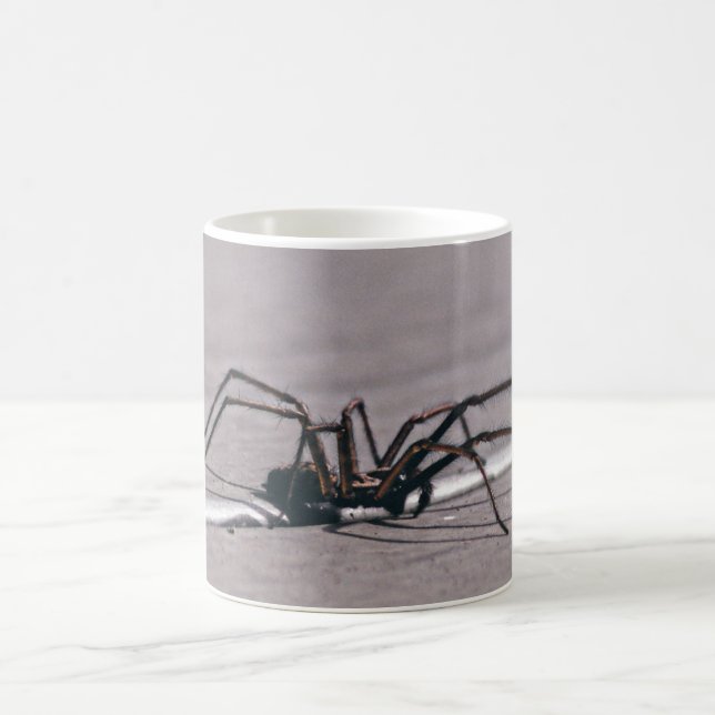 Spider  coffee mug (Center)