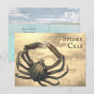Spider Crab Illustrated Custom All Occasion Postcard