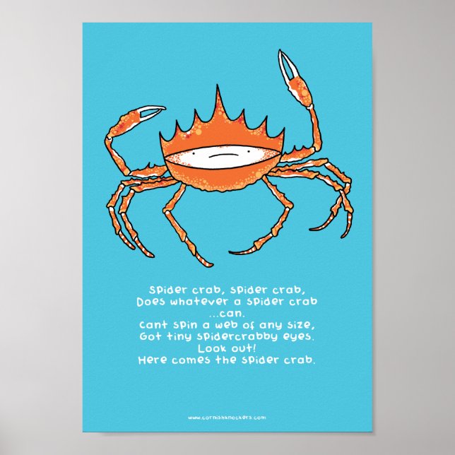 Spider crab, spider crab A4 poster (Front)
