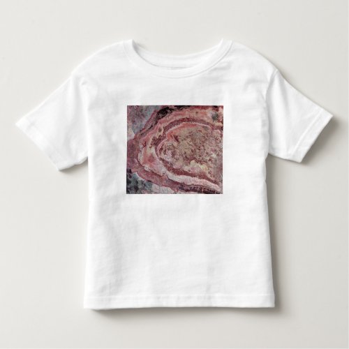 Spider Crater Western Australia Toddler T_shirt