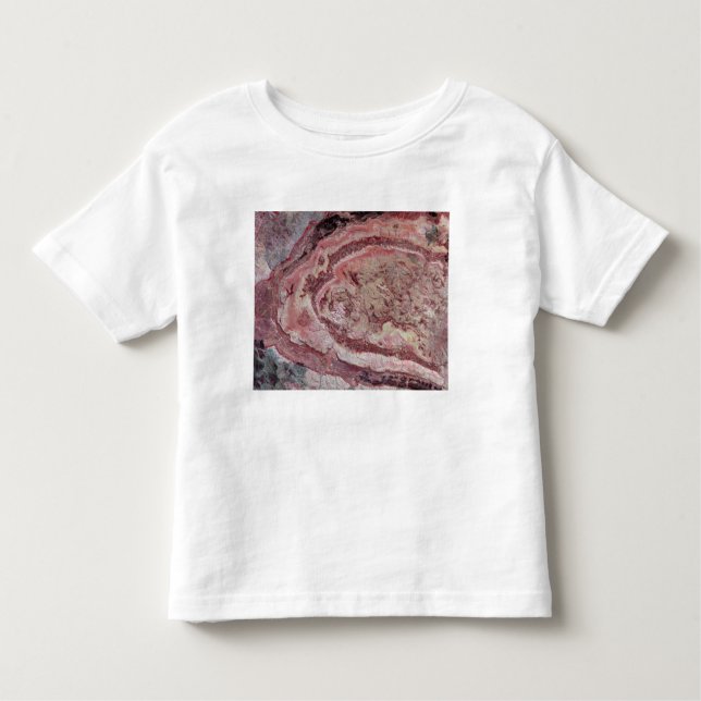 Spider Crater, Western Australia Toddler T-shirt (Front)