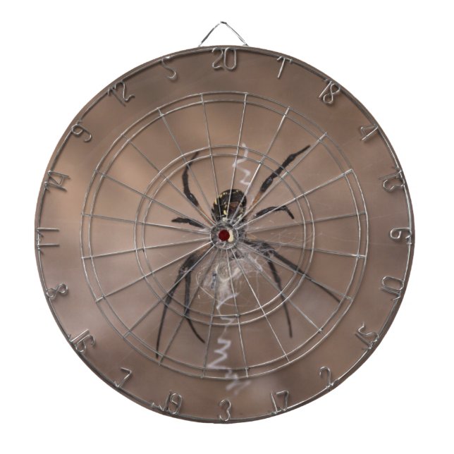 Spider Dartboard (Front)