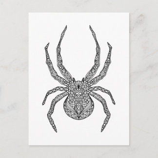 Spider Doodle Postcard