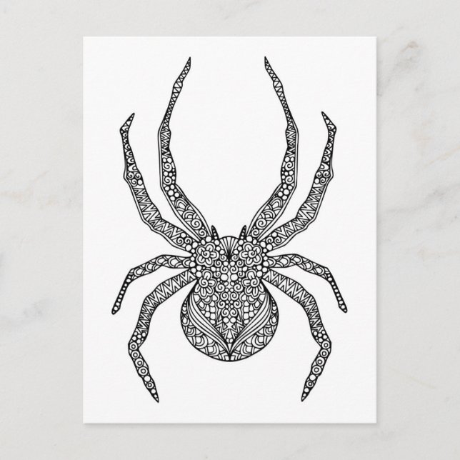 Spider Doodle Postcard (Front)