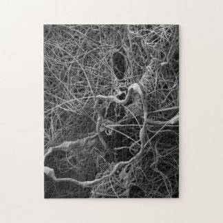 Spider egg sack puzzle