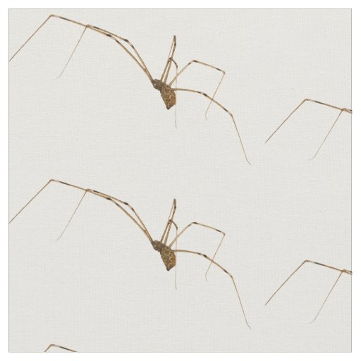 Spider Fabric