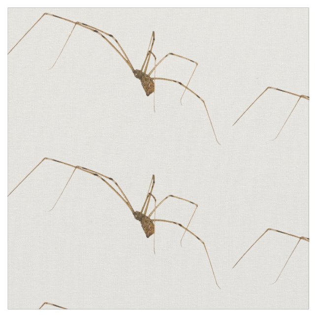 Spider Fabric (Close Up)