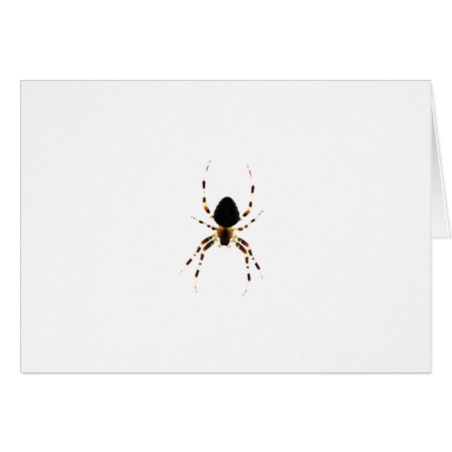 Spider gccna cards (Front Horizontal)