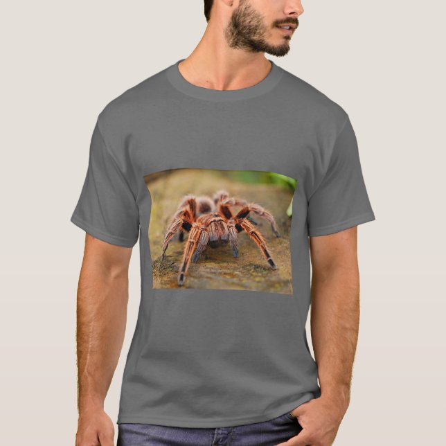 Spider Graphic Nature T-Shirt (Front)