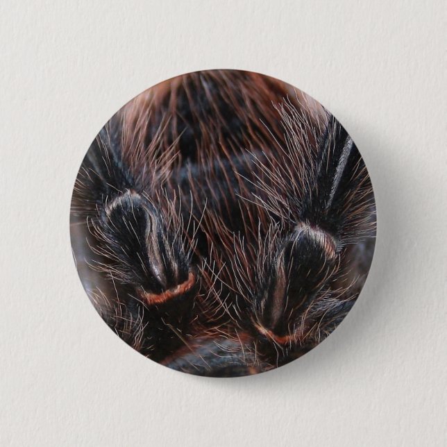 spider hair button (Front)