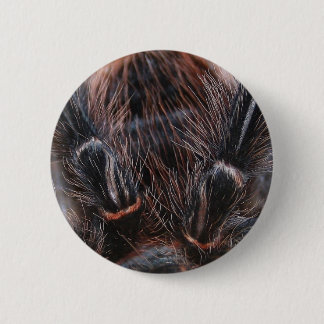 spider hair button