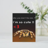 Spider I'm So Cute | Spider Lover Gift (Standing Front)