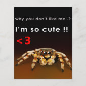 Spider I'm So Cute | Spider Lover Gift (Front)