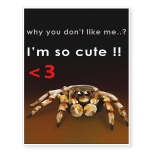 Spider I'm So Cute   Spider Lover Gift Temporary Tattoos