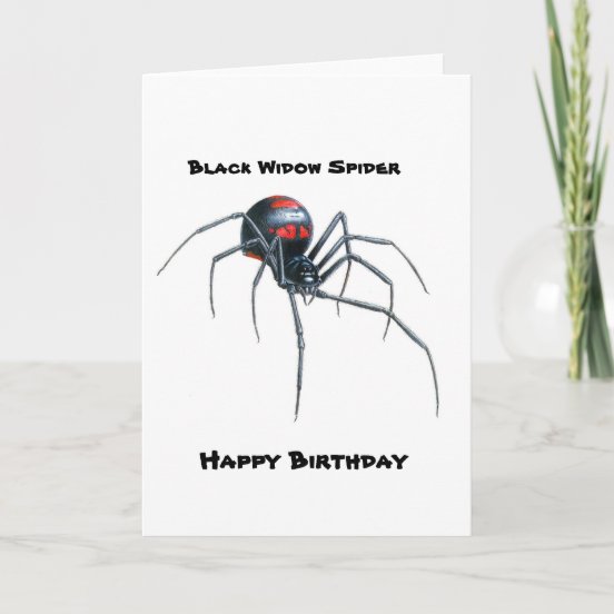 Spider Birthday Cards | Zazzle
