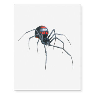 Spider image for Temporary Tattoos