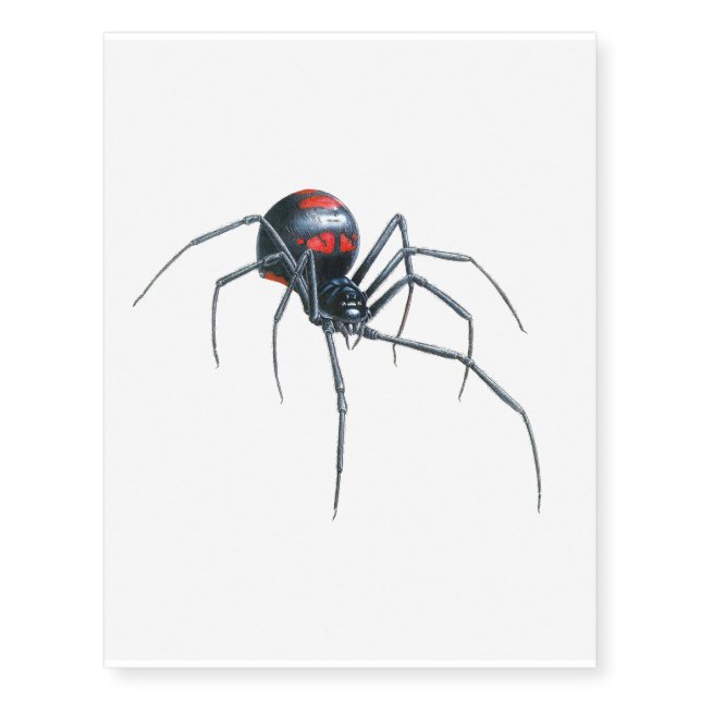 Spider image for Temporary Tattoos (Front)