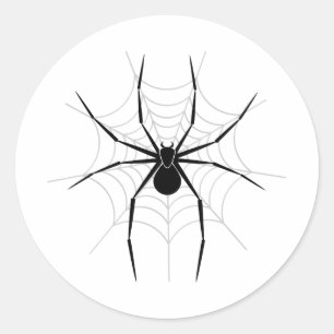 Spider in a Web Classic Round Sticker