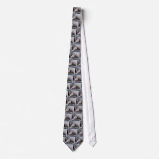 Spider in gift box neck tie