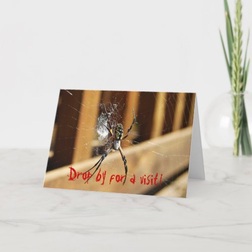 Spider in its Web -- Drop by for a visit! Card