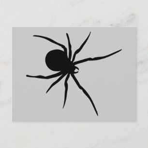 Spider Insects Spiders Arachnida Black Art Animal Postcard
