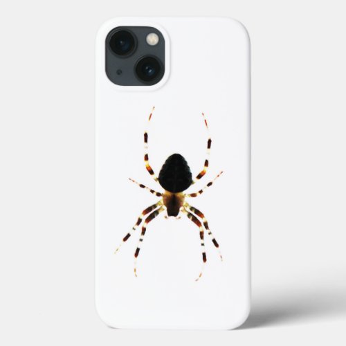 Spider iphcna iPhone 13 case