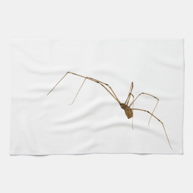 Spider Kitchen Towel (Horizontal)