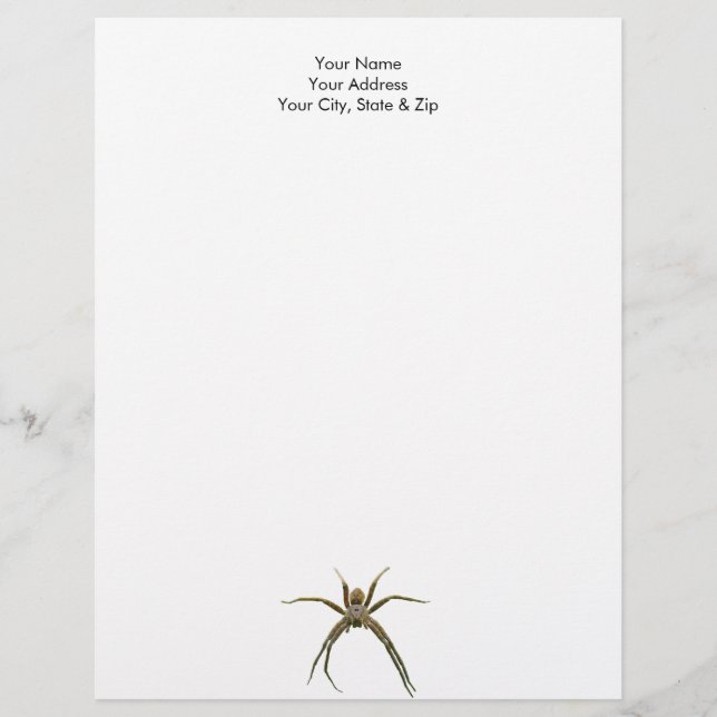 Spider Letterhead (Front)