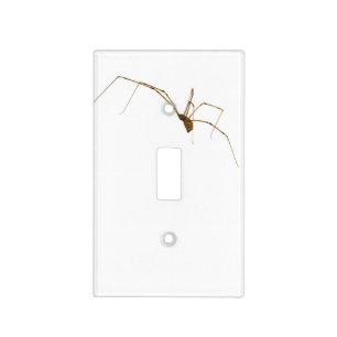 Spider Light Switch Cover