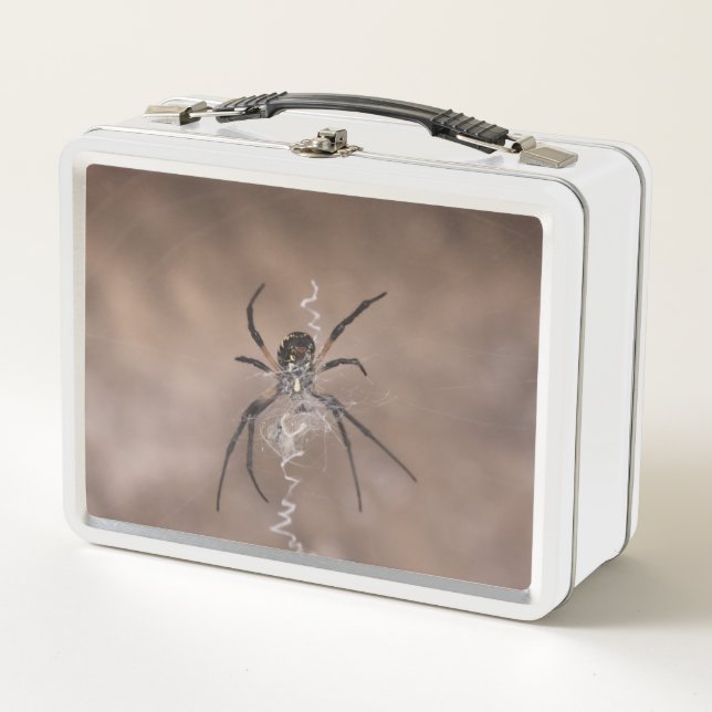 Spider Lunch Box (Front)