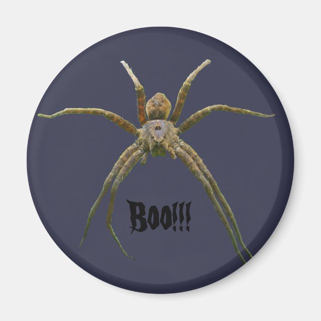 Spider Magnet (Front)