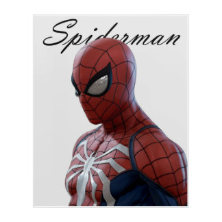 Spider-Man Acrylic Wall Art