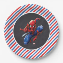 Spider-Man Chalkboard Birthday Paper Plates