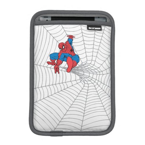 Spider-Man in Center of Web