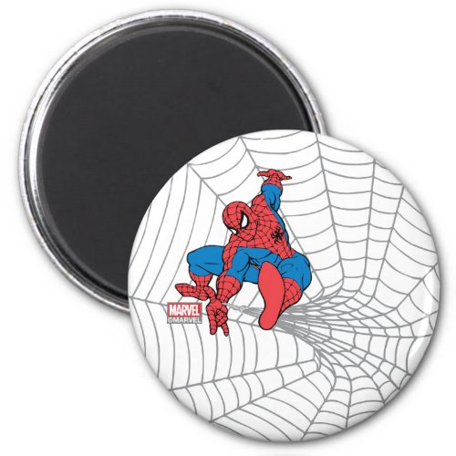 Spider_Man in Center of Web Magnet