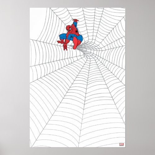 Spider_Man in Center of Web Poster