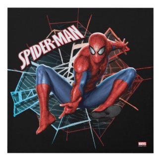 Spider-Man in Fractured Web Graphic Panel Wall Art