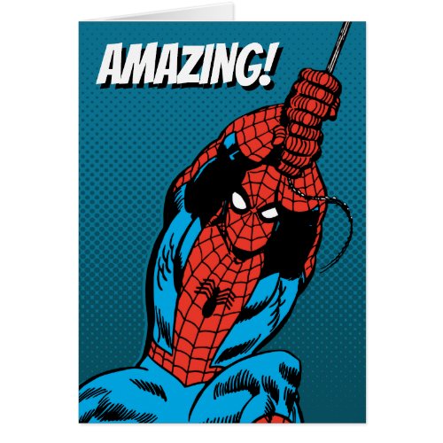 Spider_Man Retro Web Swing