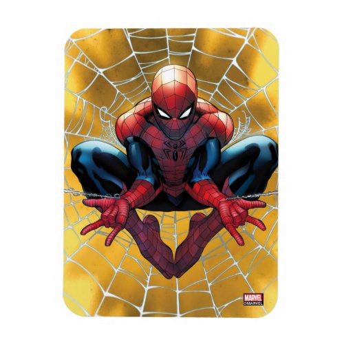 Spider_Man  Sitting In A Web Magnet